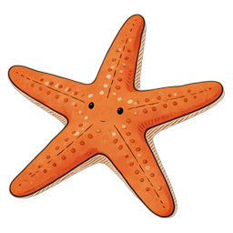海星